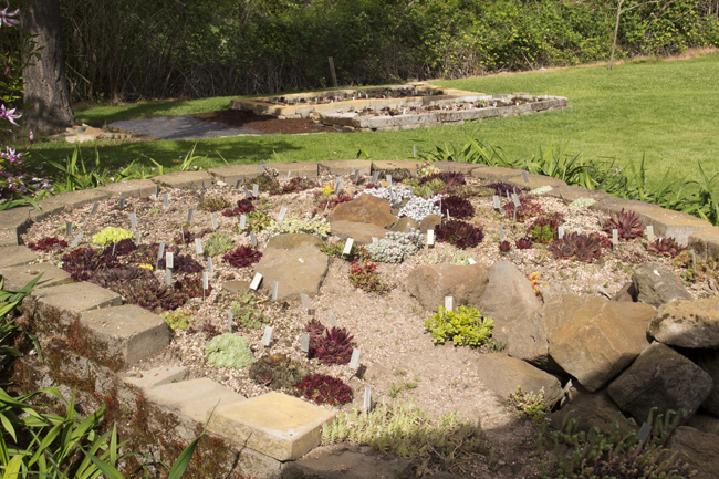 Seed Beds and Parent Hens and Chicks