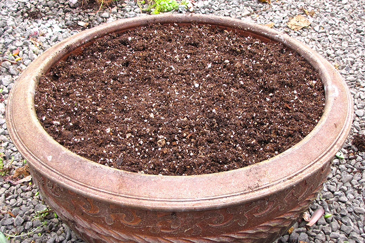 New Planter Soil